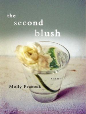 Cover of the book The Second Blush: Poems by Lucy Lethbridge
