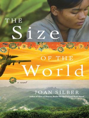 Cover of the book The Size of the World: A Novel by George C. Daughan