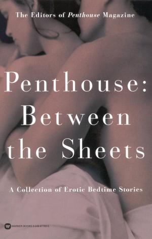 Book cover of Penthouse