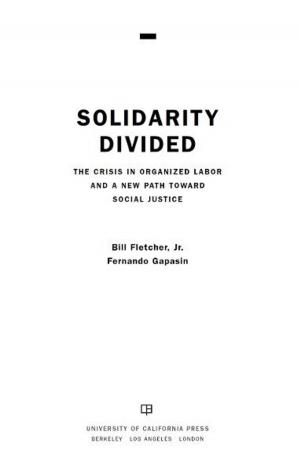 Cover of the book Solidarity Divided by Ariel G. Lopez