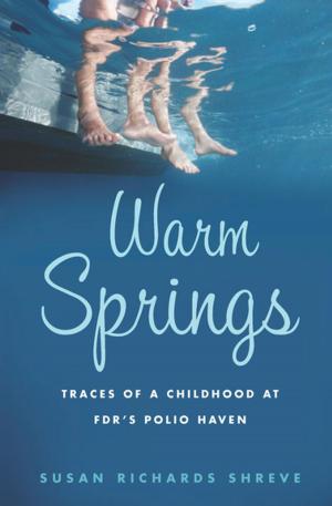Cover of the book Warm Springs by Anita Desai