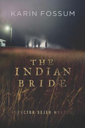 Cover of the book The Indian Bride by Todd Morr