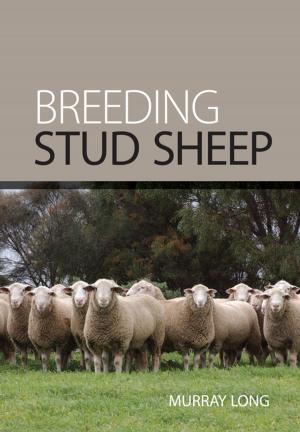 Cover of the book Breeding Stud Sheep by Roy Kellaway, Tim Harrington