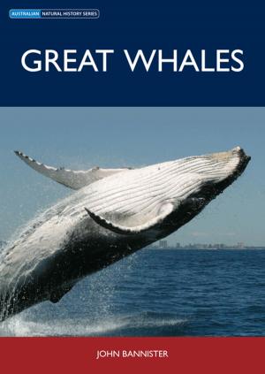 Cover of the book Great Whales by John Garratt, David Angus, Paul Holper