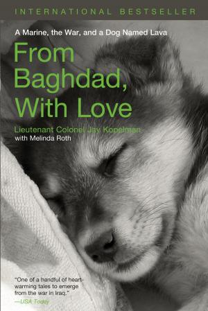 Cover of the book From Baghdad with Love by Mickey Bradley, Dan Gordon
