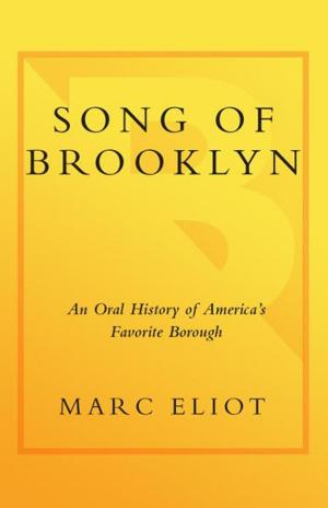 Cover of Song of Brooklyn
