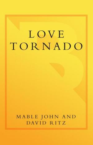 Cover of the book Love Tornado by Carry Lada