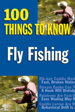 Cover of the book Fly Fishing by Larry Lonik