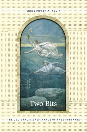 Cover of the book Two Bits by Zakiya Hanafi