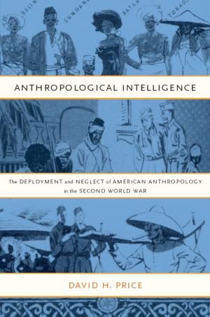 Book cover of Anthropological Intelligence