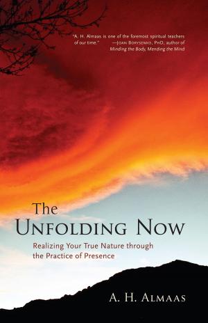 Cover of the book The Unfolding Now by Gareth S. Hill