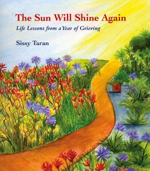 Book cover of The Sun Will Shine Again