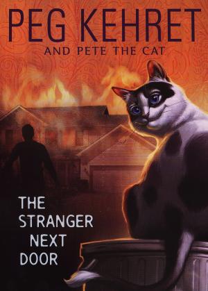 Book cover of The Stranger Next Door