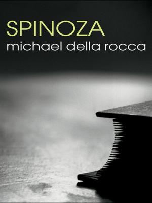 Cover of the book Spinoza by Matthew David