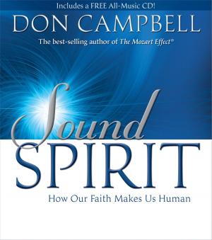 Cover of the book Sound Spirit by Jeff Johnson