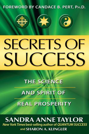 Book cover of Secrets of Success