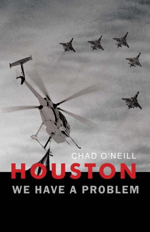 Cover of the book Houston We Have a Problem by Steve Pervorse