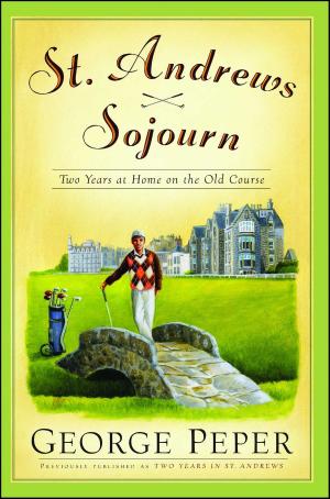 Cover of the book Two Years in St. Andrews by Robert Klitzman