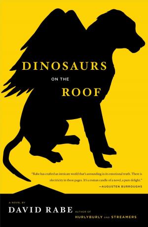Cover of the book Dinosaurs on the Roof by Jason Zweig