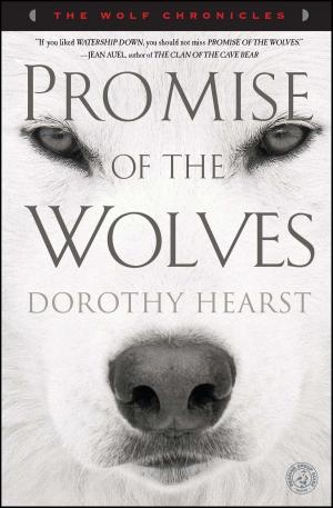 Cover of the book Promise of the Wolves by Samuel Z Jones