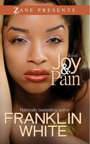 Cover of the book Joy & Pain by Jessica Holter