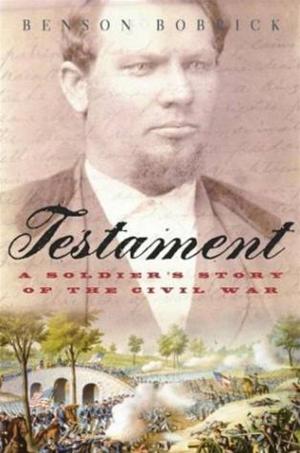 Cover of the book Testament by Karen Truesdell Riehl