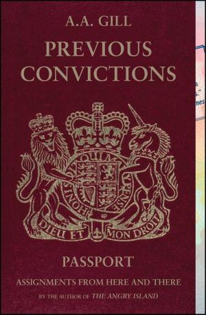 Book cover of Previous Convictions
