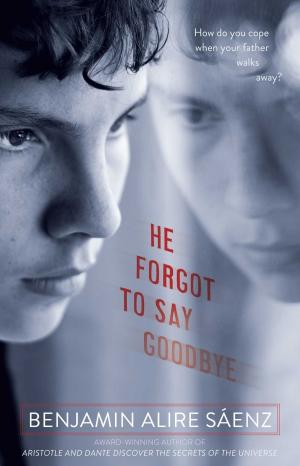 bigCover of the book He Forgot to Say Goodbye by 