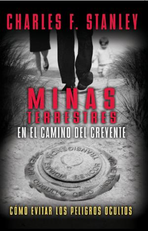Book cover of Minas terrestres en el camino del creyente