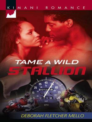 Cover of the book Tame a Wild Stallion by Dawn Stewardson