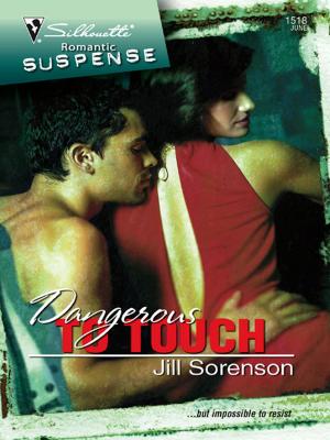 Cover of the book Dangerous to Touch by Barbara McCauley