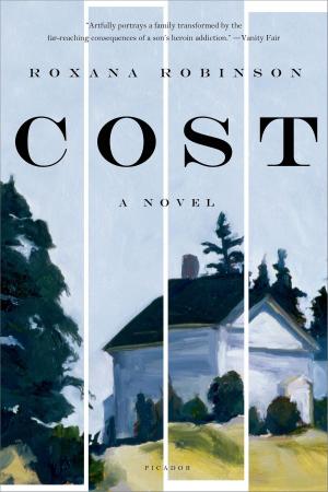 Cover of the book Cost by David J. Silbey