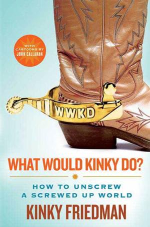 Cover of the book What Would Kinky Do? by Iris Johansen, Roy Johansen
