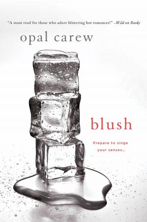 Cover of the book Blush by Joe Starita