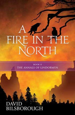 Cover of the book A Fire in the North by Orson Scott Card