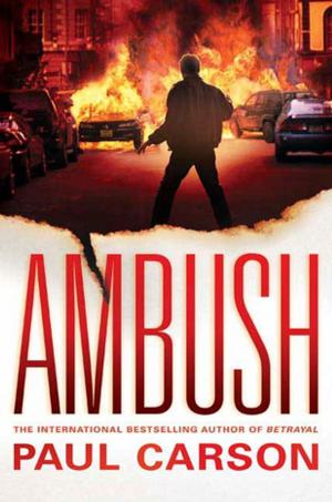 Cover of the book Ambush by Alicia Mundy