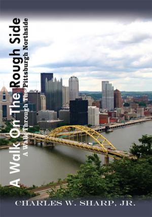 Cover of the book A Walk on the Rough Side by Robert J. Gossett