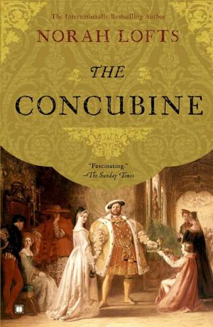 Cover of the book The Concubine by Nora McFarland