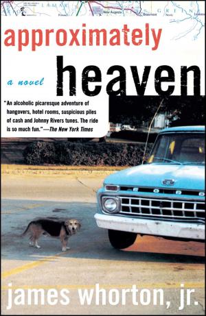 Cover of the book Approximately Heaven by Judith Rich Harris
