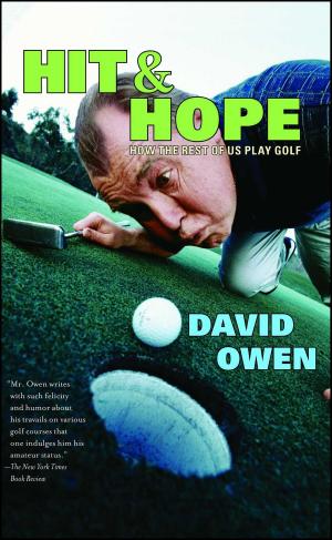 Book cover of Hit & Hope