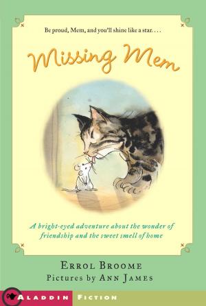 Cover of the book Missing Mem by Joan Holub, Suzanne Williams