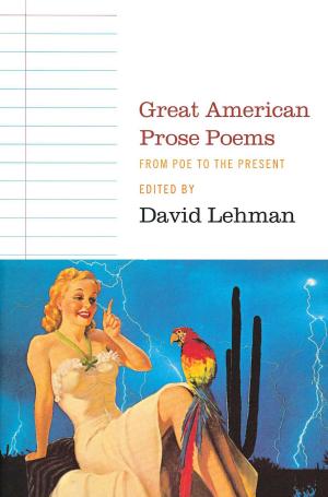 Cover of the book Great American Prose Poems by Dean Olsher