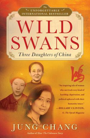 Book cover of Wild Swans