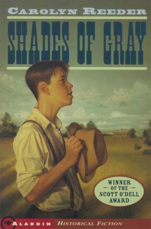 Cover of the book Shades of Gray by R.L. Stine