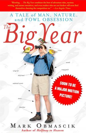 Cover of the book The Big Year by Daniel Barbarisi
