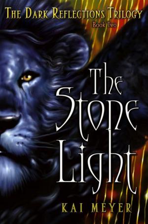 Cover of the book The Stone Light by Tessa Gratton