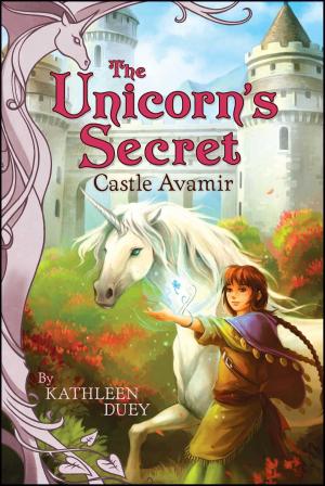 Cover of the book Castle Avamir by Allison Gutknecht