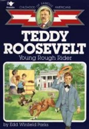 Cover of the book Teddy Roosevelt by Franklin W. Dixon