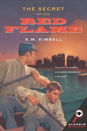 Cover of the book The Secret of the Red Flame by Helen Perelman
