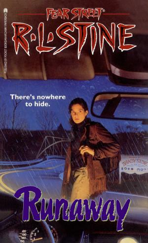 Cover of the book The Runaway by Trish Doller
